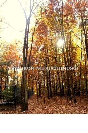 Działka budowlana Tartak Brzózki