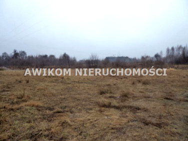 Działka budowlana Tartak Brzózki