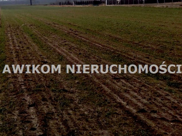 Działka budowlano-rolna Budy Trzcińskie