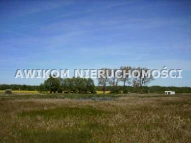 Pusta działka Basin