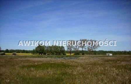 Pusta działka Basin