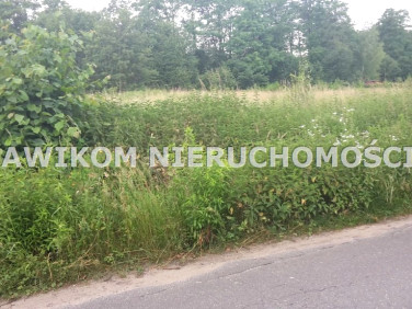 Działka siedliskowa Adamów-Wieś