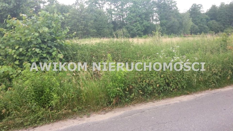 Działka siedliskowa Adamów-Wieś