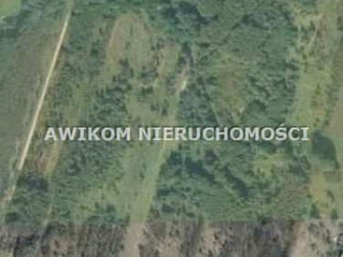 Pusta działka Słubica Dobra