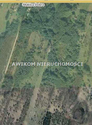 Pusta działka Słubica Dobra