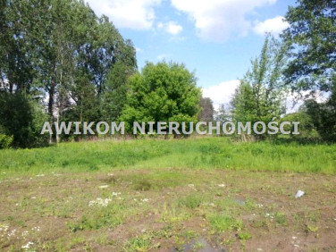 Pusta działka Kanie