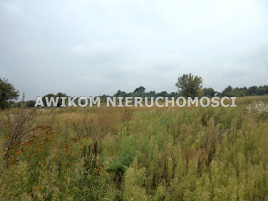 Działka rolna Pieńki Słubickie