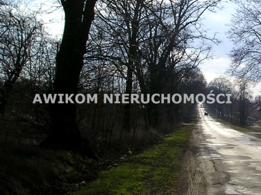 Działka budowlano-rolna Skierniewice