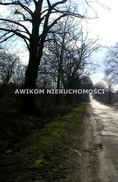 Działka budowlano-rolna Skierniewice