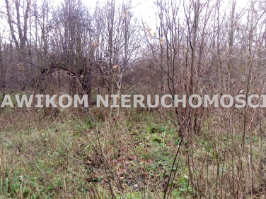 Działka siedliskowa Sokule