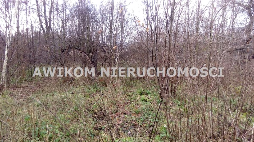 Działka siedliskowa Sokule