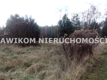 Działka siedliskowa Antoniew