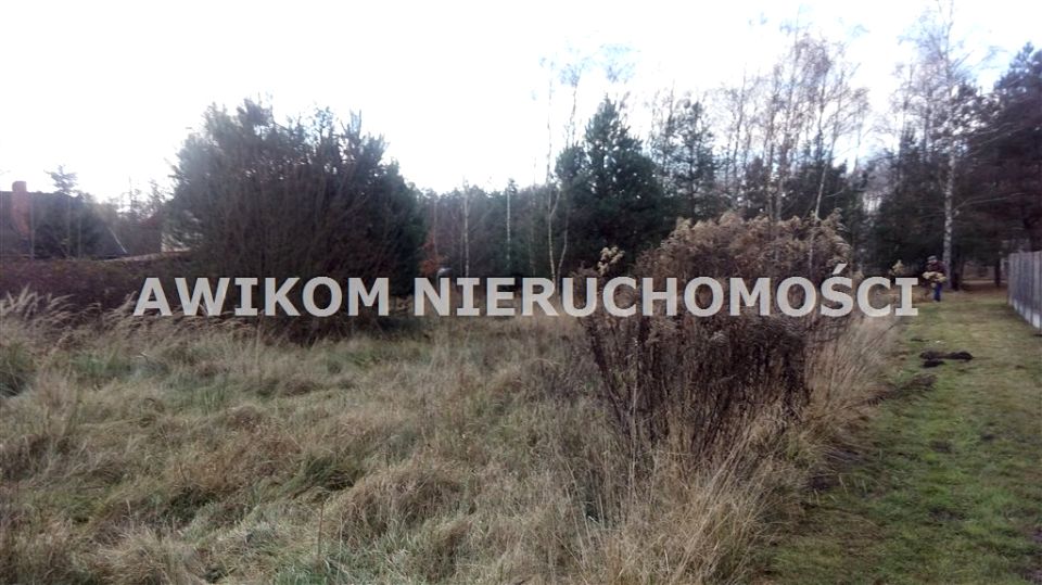 Działka siedliskowa Antoniew