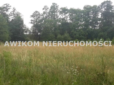 Działka budowlana Adamów-Wieś