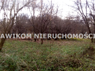 Działka siedliskowa Sokule