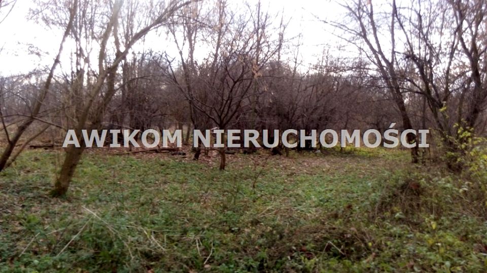 Działka siedliskowa Sokule