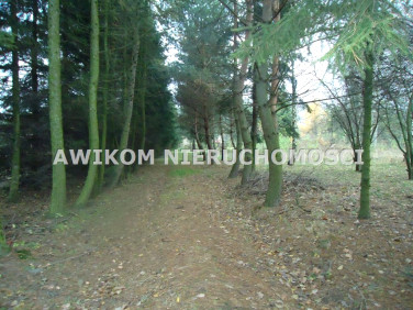 Pusta działka Adamowice