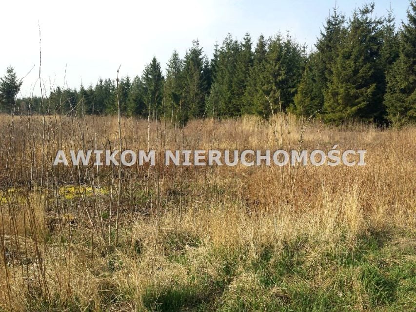 Zdjęcie 2