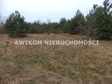 Działka rolna Skierniewice sprzedam