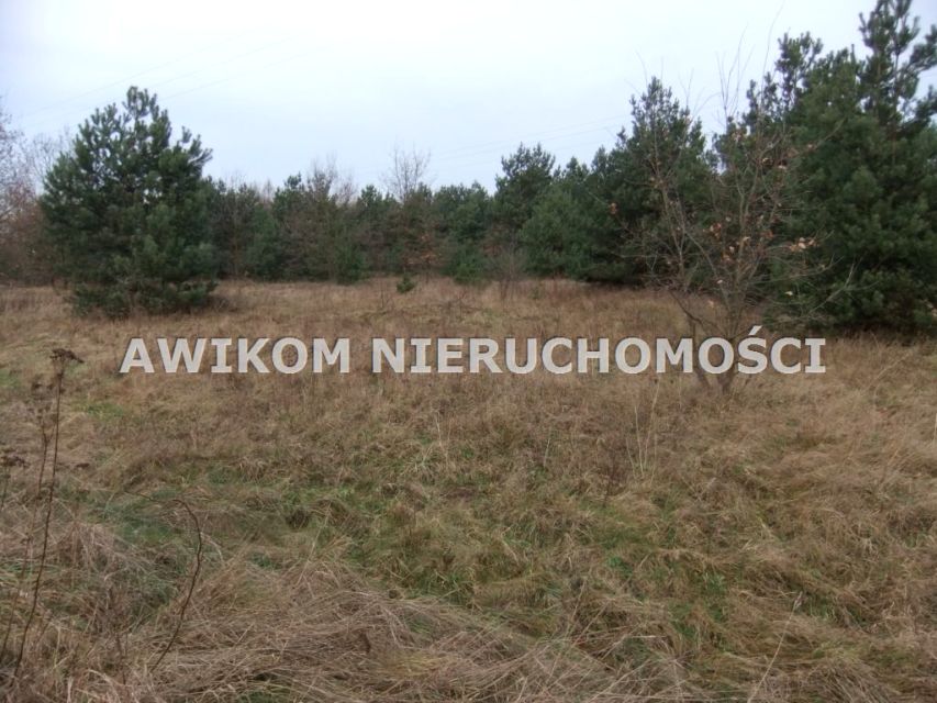 Działka rolna Skierniewice sprzedam