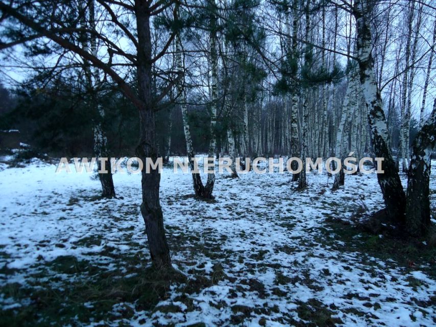 Działka usługowa Lasek