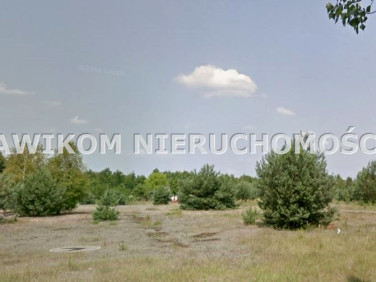 Działka inwestycyjna Puszcza Mariańska