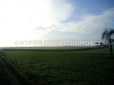 Działka Nowy Kawęczyn