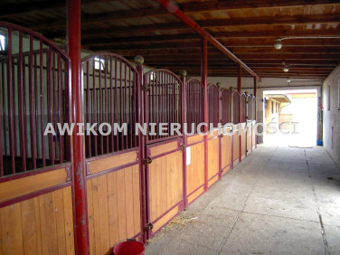 Budynek użytkowy Skierniewice