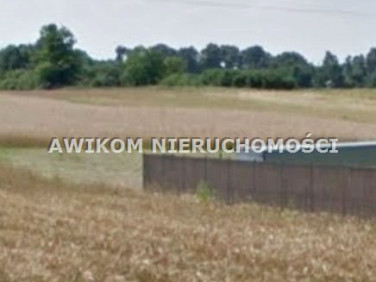 Działka siedliskowa Pasikonie