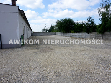 Ogrodzona działka wynajmę