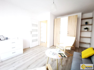 Mieszkanie Kraków wynajem