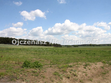 Działka budowlana Łachowo