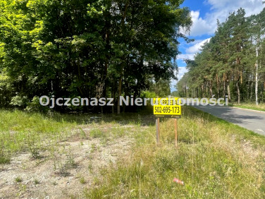 Działka leśna Toporzysko