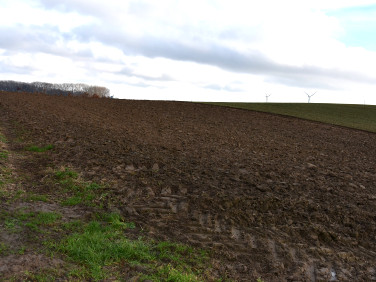 Działka rolna Bielice