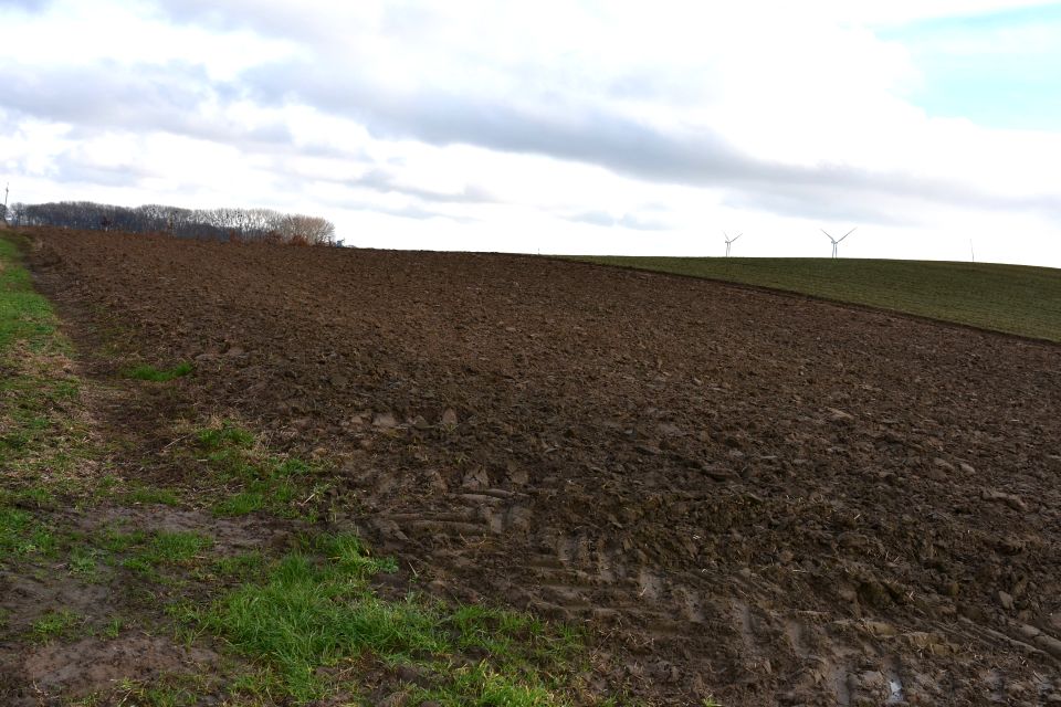 Działka rolna Bielice