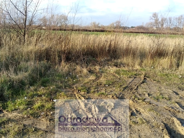 Działka budowlana Falenty