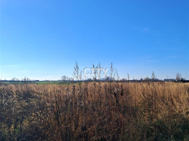 Ogrodzona działka sprzedam