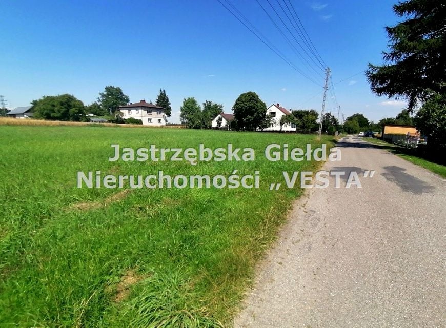 Zdjęcie 2