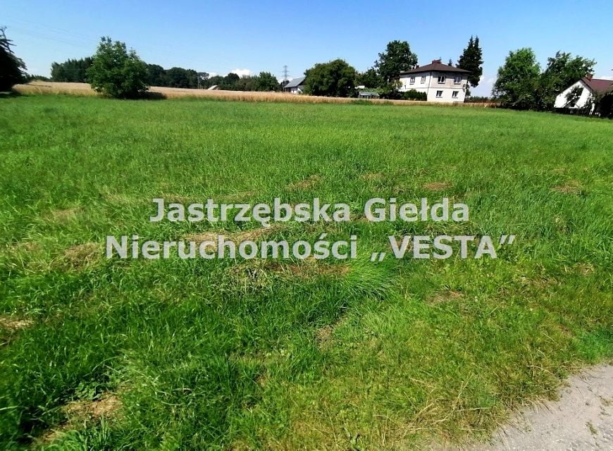 Zdjęcie 3