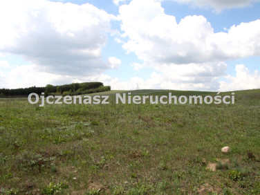 Pusta działka Trzeciewiec