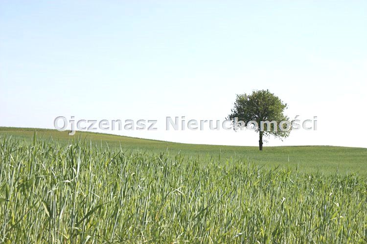 Budynek użytkowy Minikowo