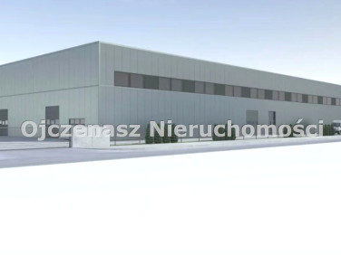 Pusta działka Lisi Ogon