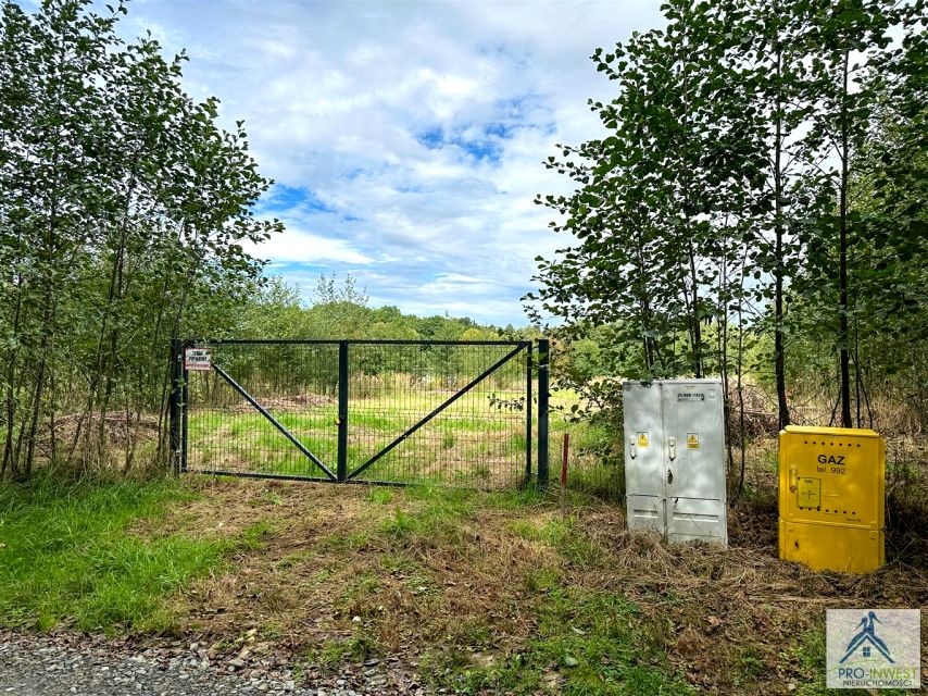 Działka Pisarzowice