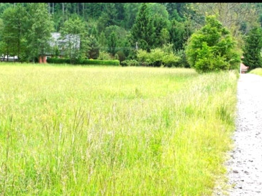 Działka budowlana Trzcińsko