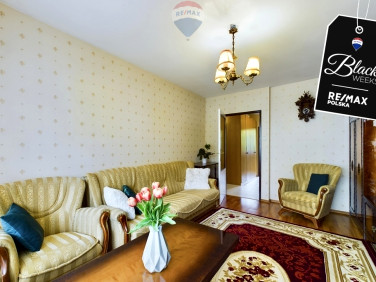 Mieszkanie Zielona Góra