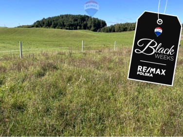 Działka rolna Dudki