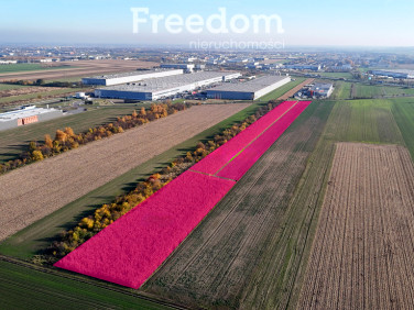 Działka inwestycyjna Poznań