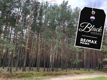 Działka rolna Pustelnik