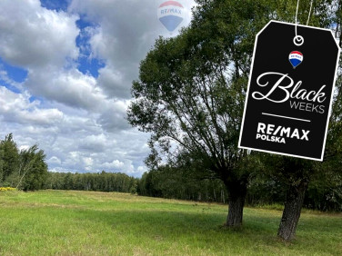 Działka siedliskowa sprzedam