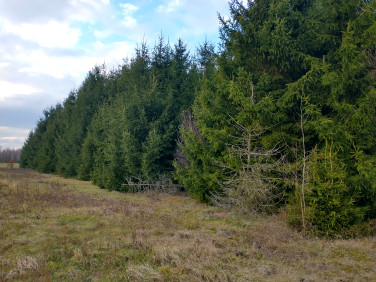 Działka rolna Ługi